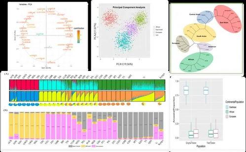 赣州爆料走丢事件视频,视频还原惊心动魄寻人过程 第3张 赣州爆料走丢事件视频,视频还原惊心动魄寻人过程 第3张